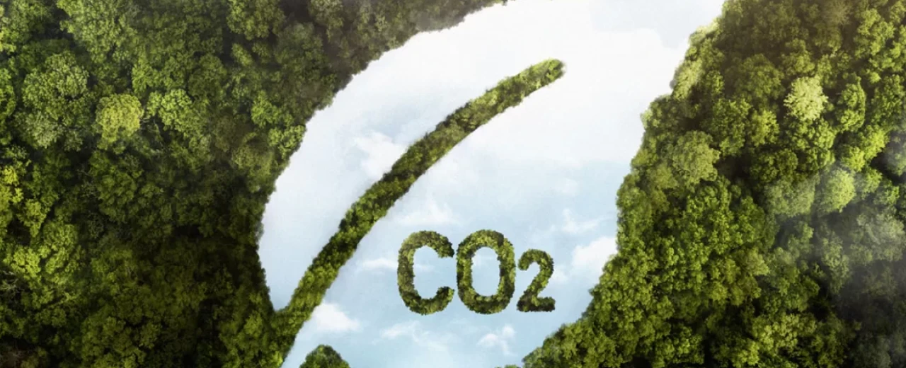 Capa do artigo: Mercado de créditos de carbono no Brasil